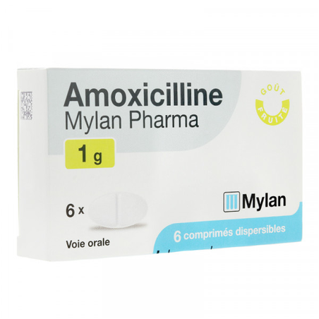 Amoxicilline Mylan Pharma Prix