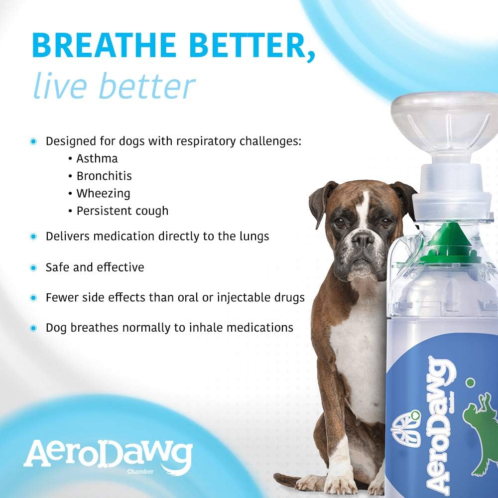 achat de albuterol