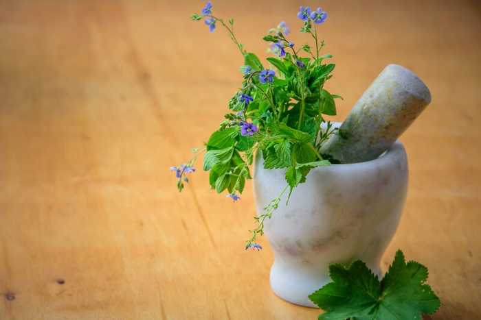 Viagra naturel pour homme pas cher