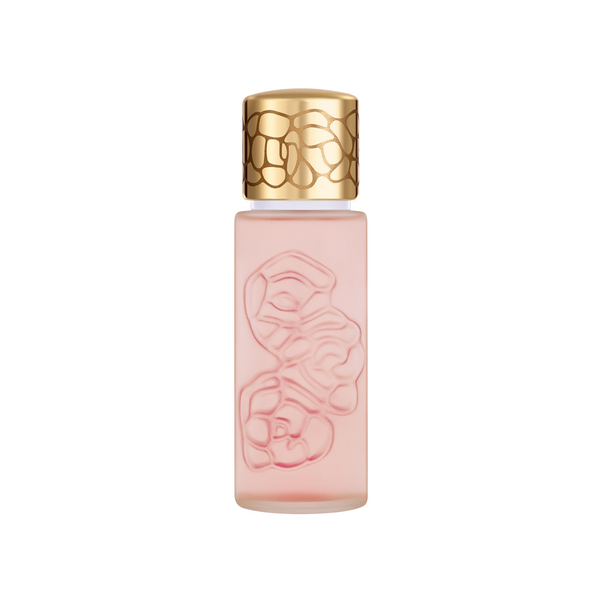 Acheter Du Lady Era