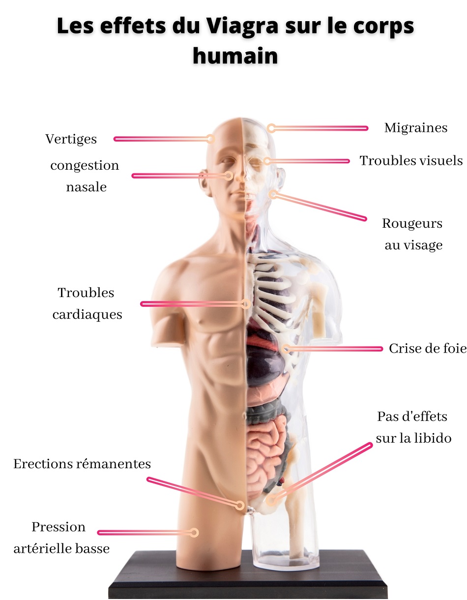 viagra pilule rouge