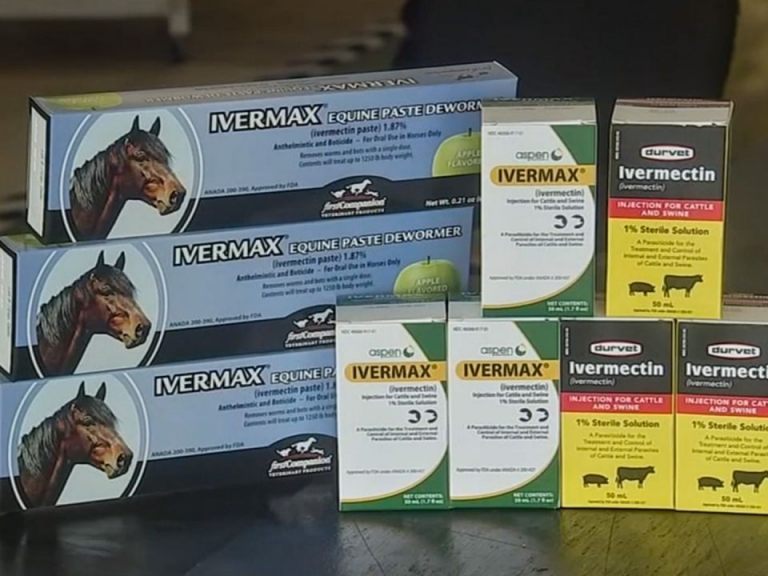 Commander du ivermectine