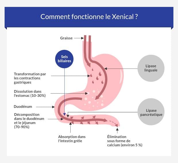 Xenical ou acheter