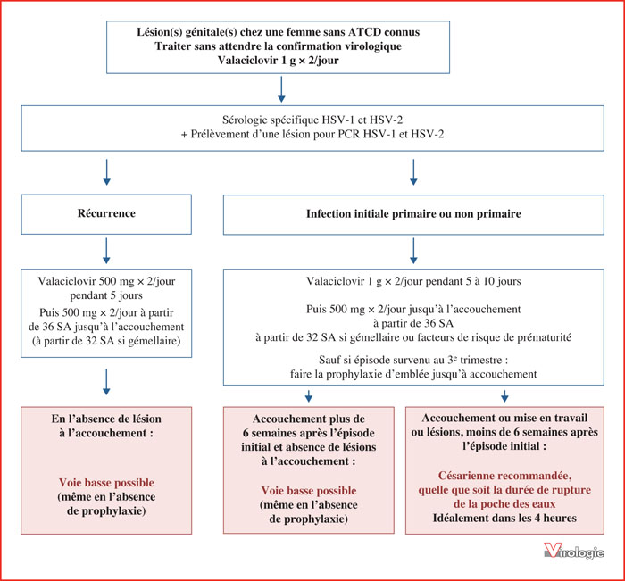 Comment acheter du valacyclovir