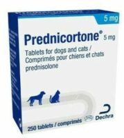 Prednisolone en france
