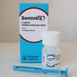 Amoxicilline pour chat prix