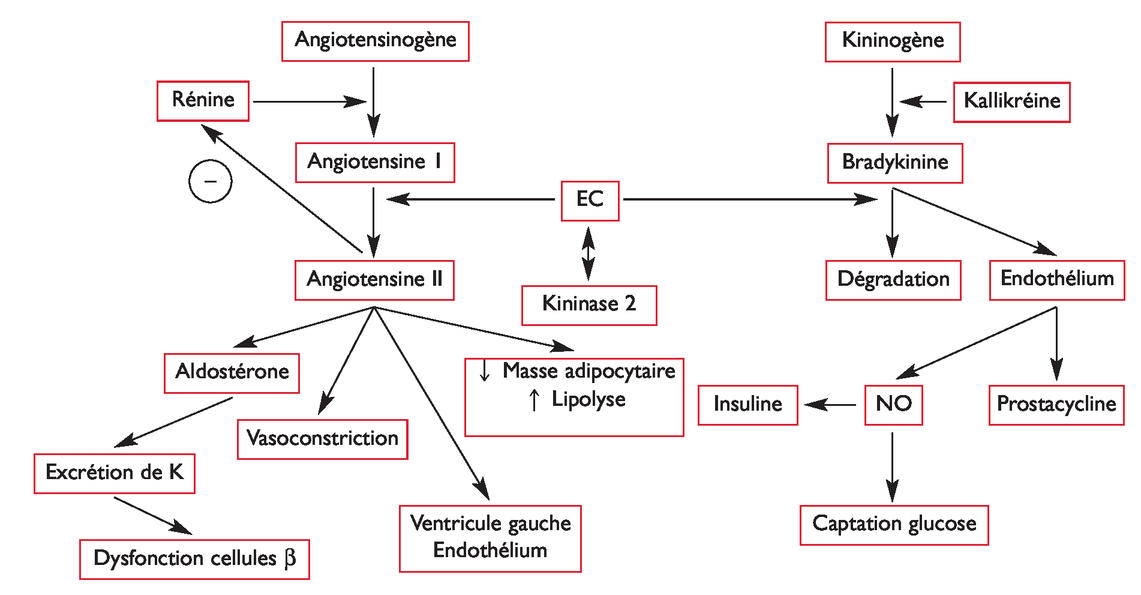 Propranolol 80 Mg Avis