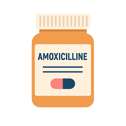Interaction amoxicilline pilule