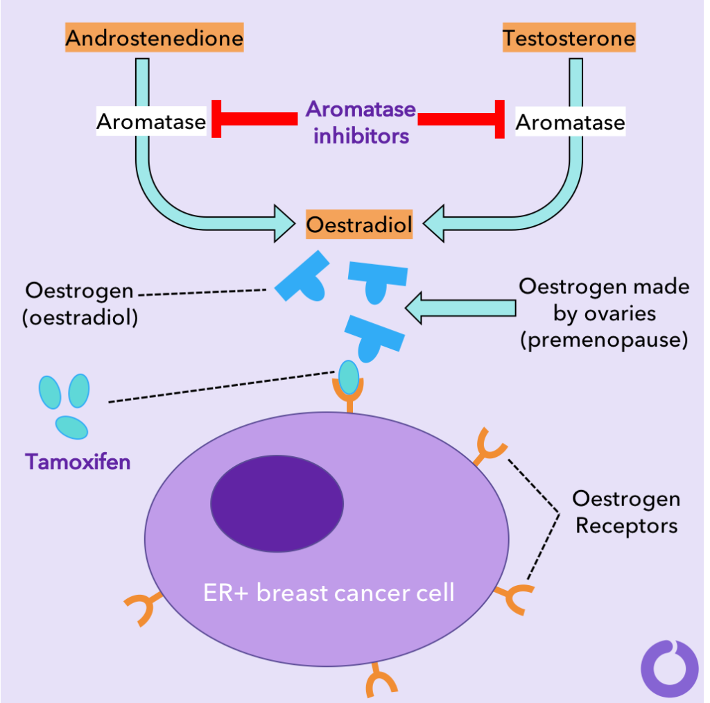 Ordre tamoxifen