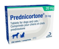 Prednisolone Nom Generique