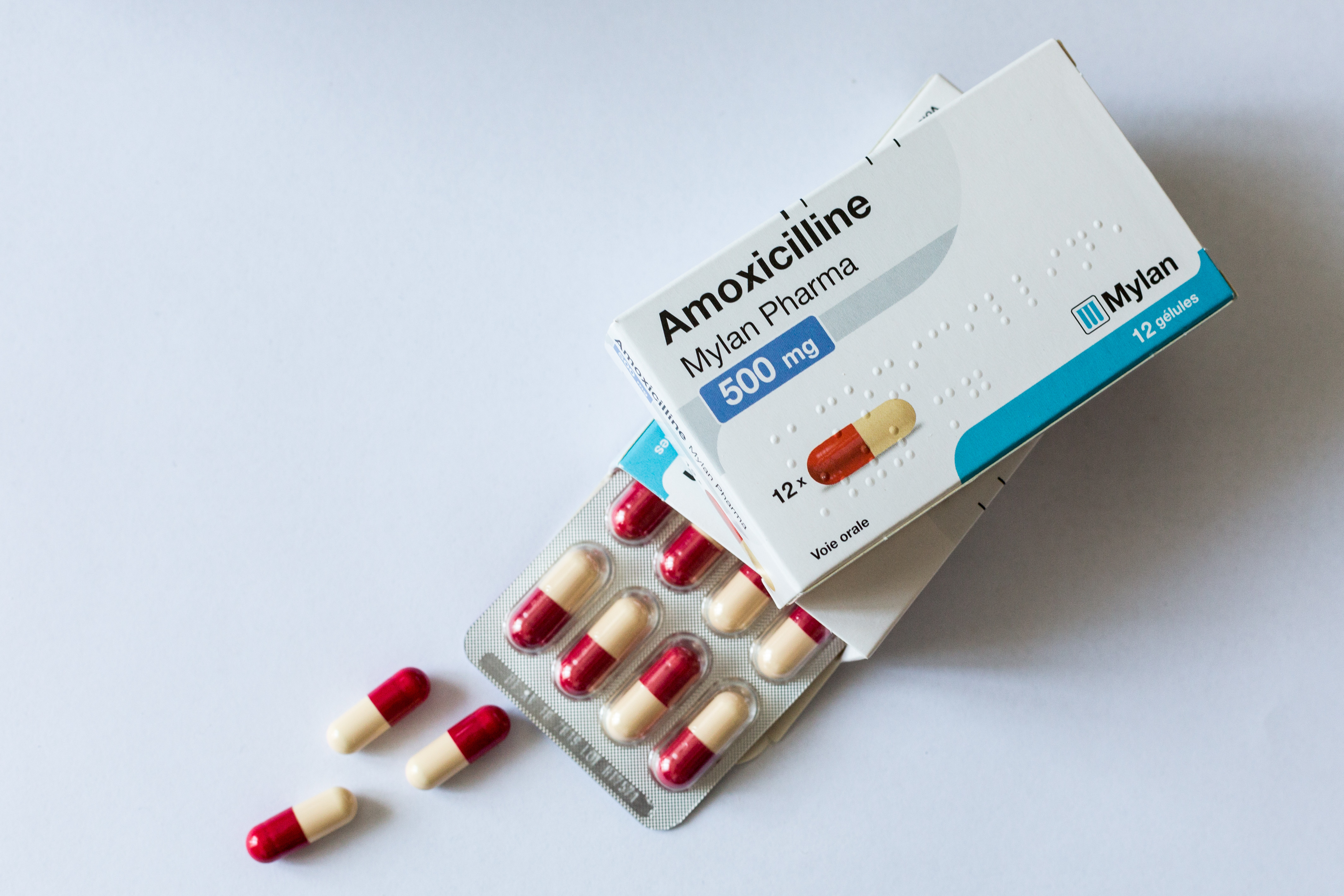 Amoxicilline générique orelox