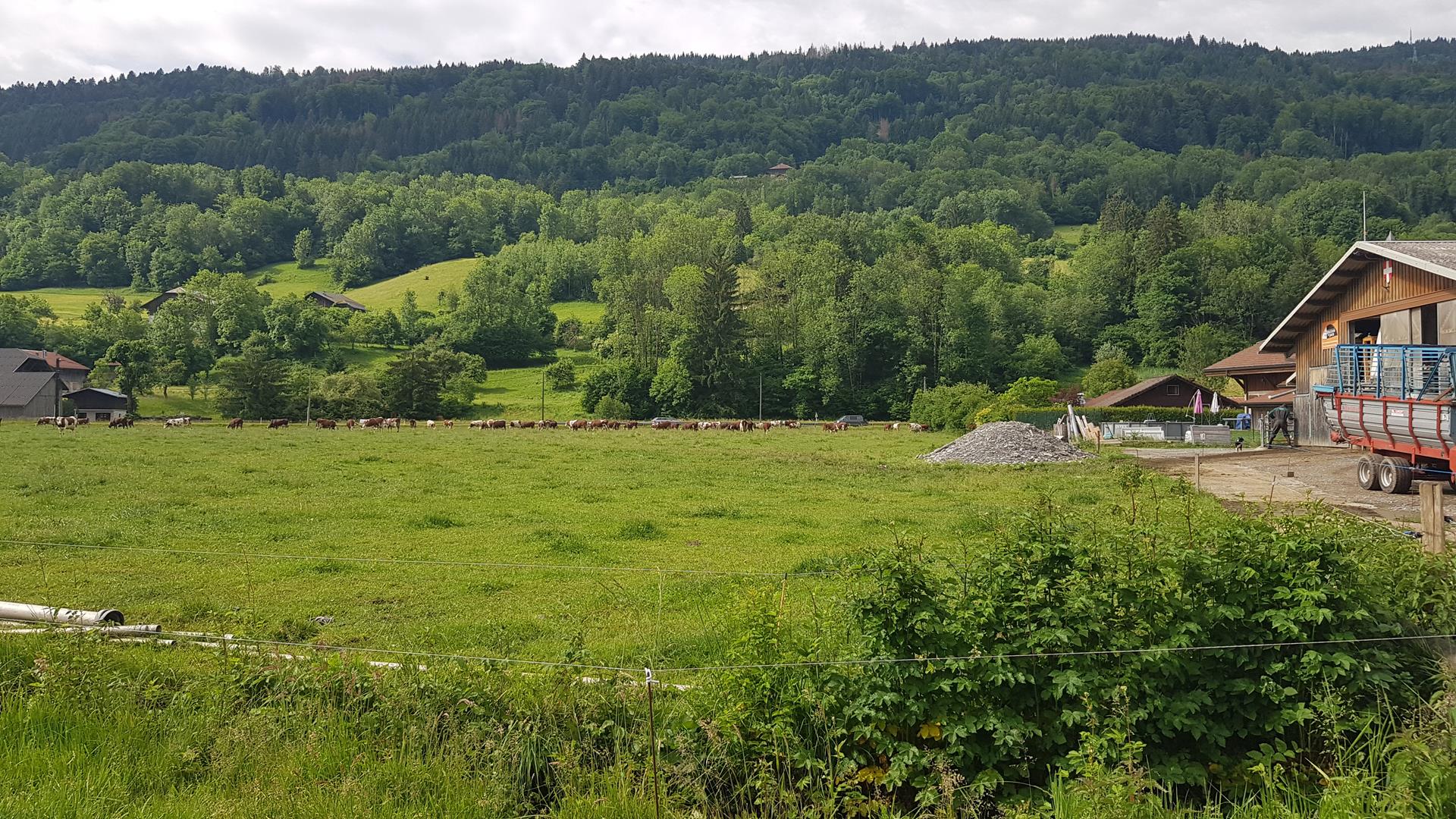 Coût Du Ativan