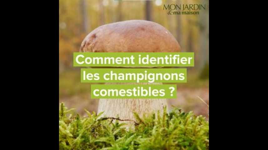 Antabuse le moins cher