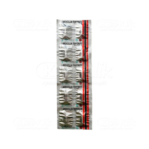 amoxicilline 500mg online