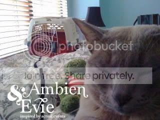 Ambien moins cher