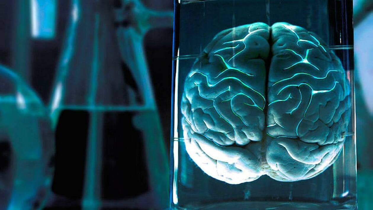 Acheter Du Valium En Ligne