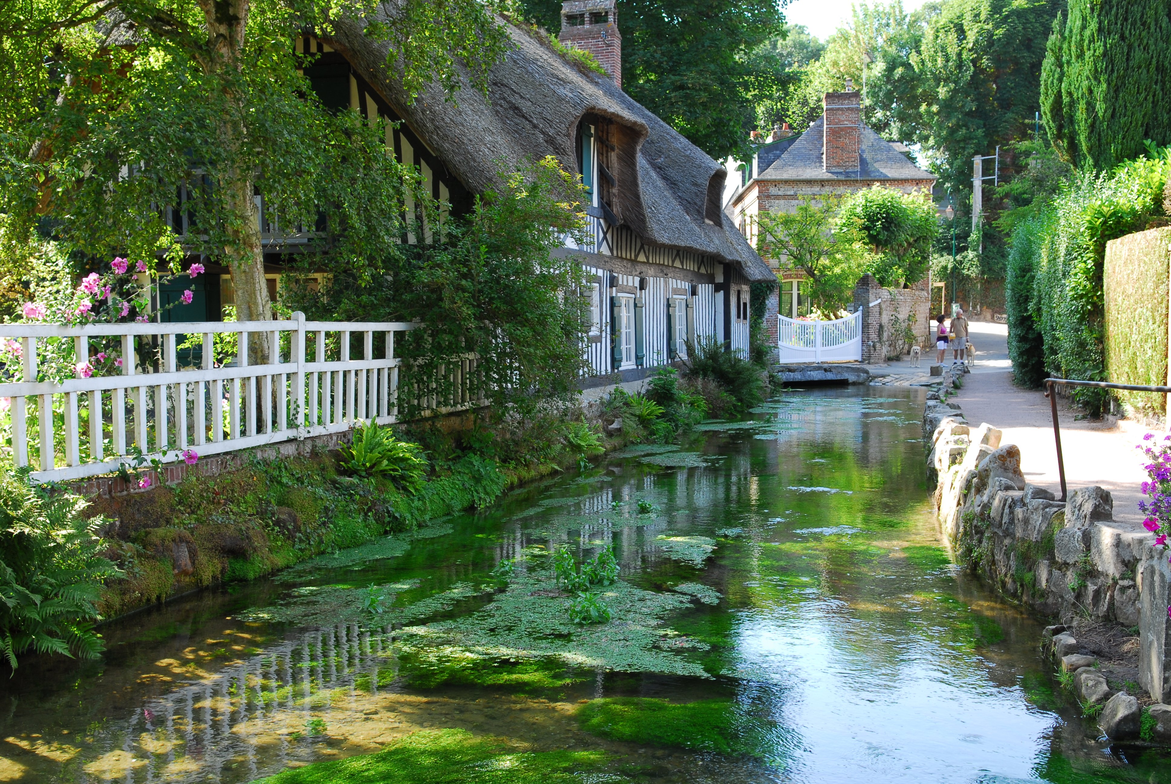 Premarin achat france