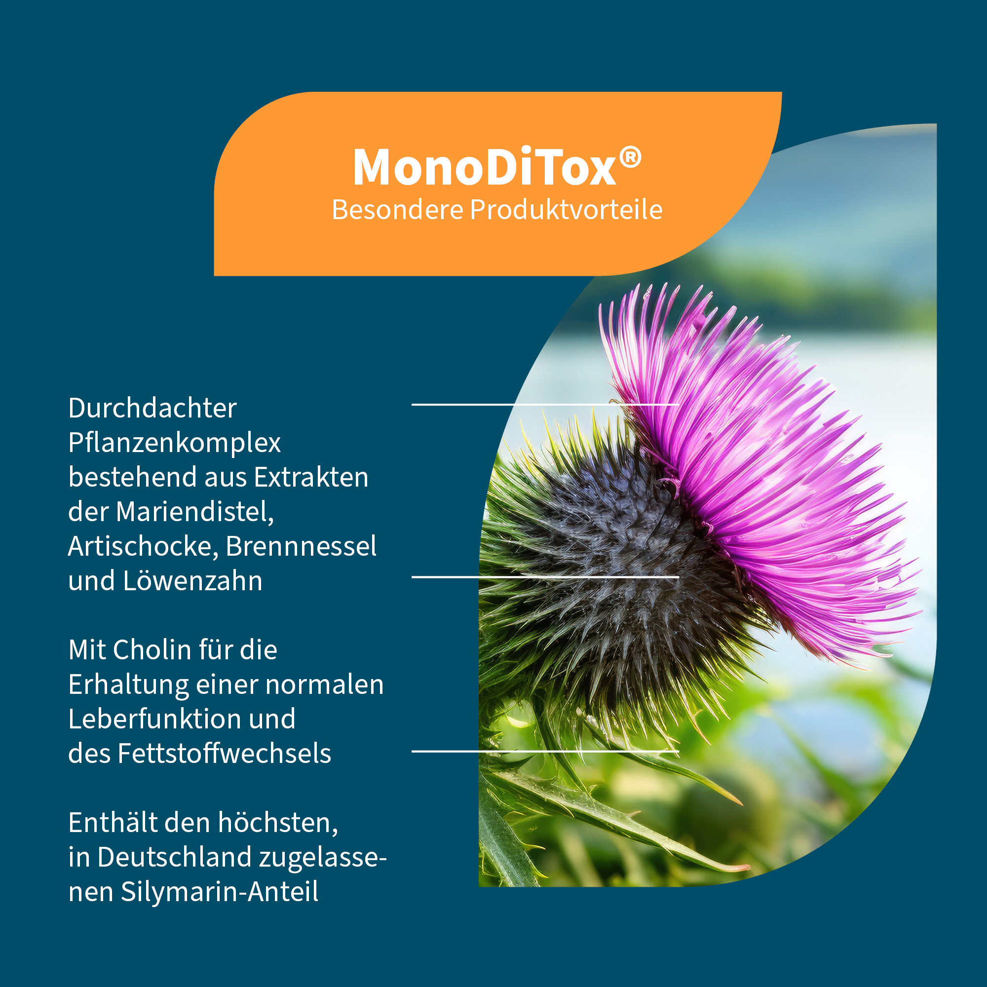 Monodox Moins Cher
