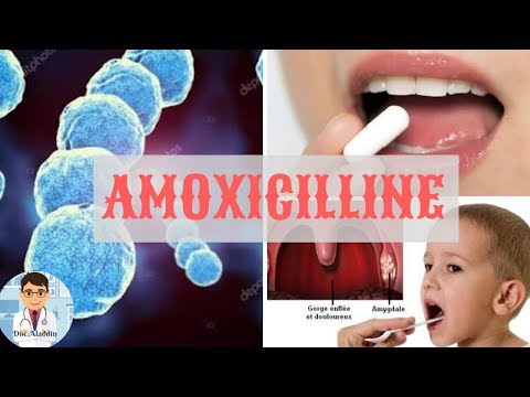Posologie De La Amoxicilline 500 Mg