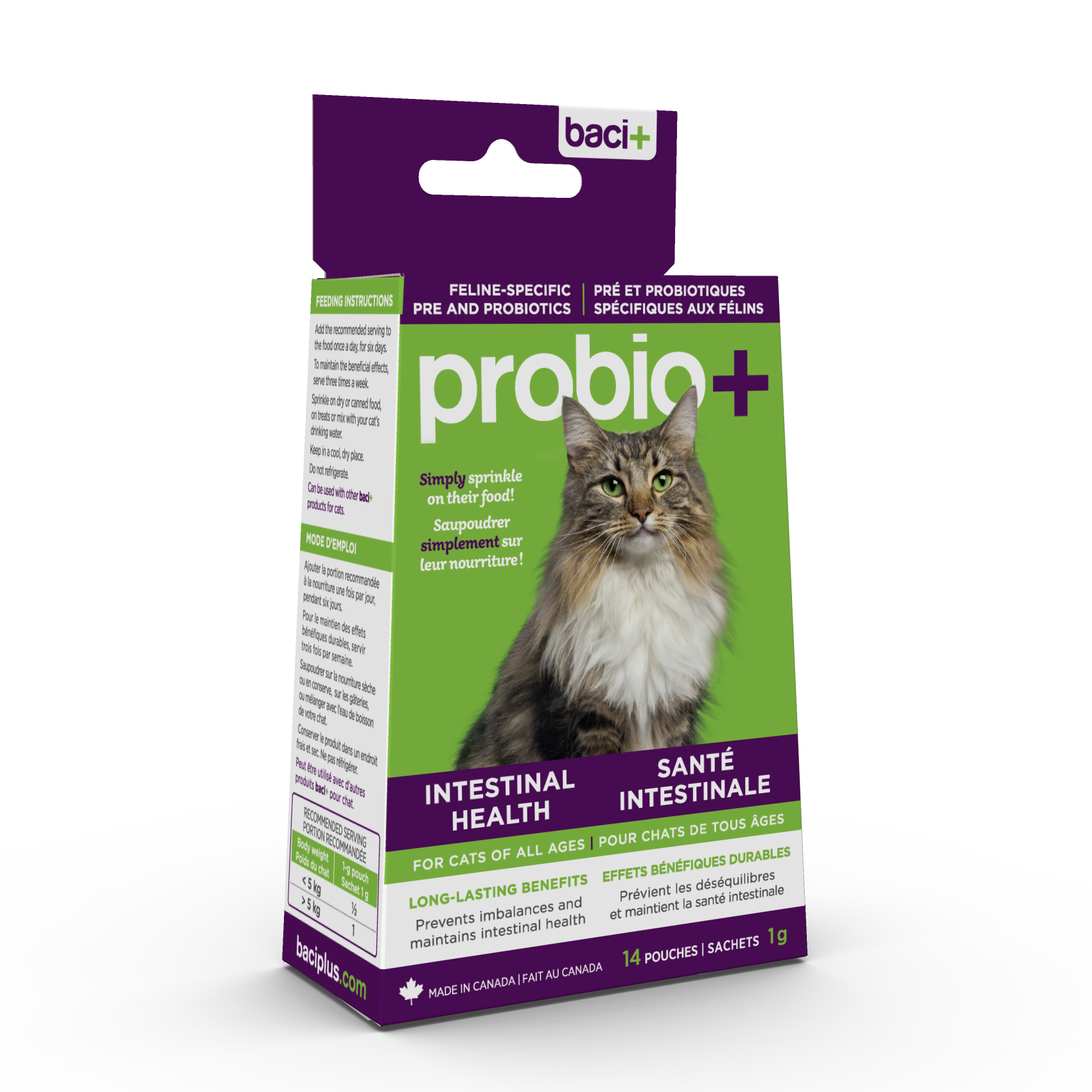Achat amoxicilline chat