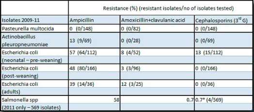 amoxicilline achat france