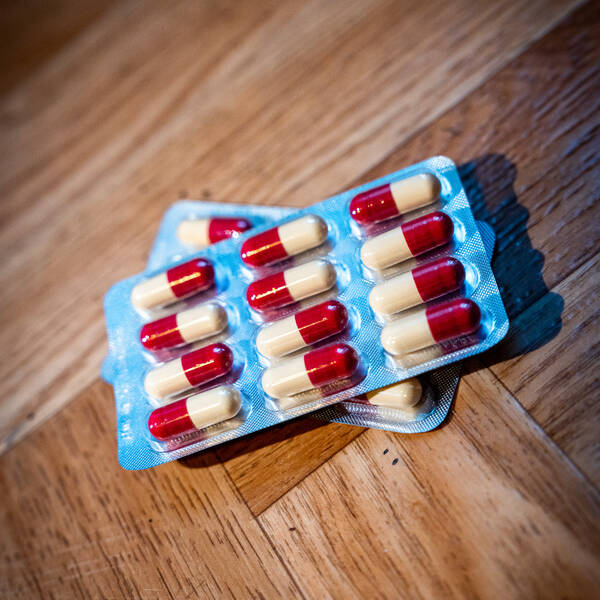 amoxicilline achat