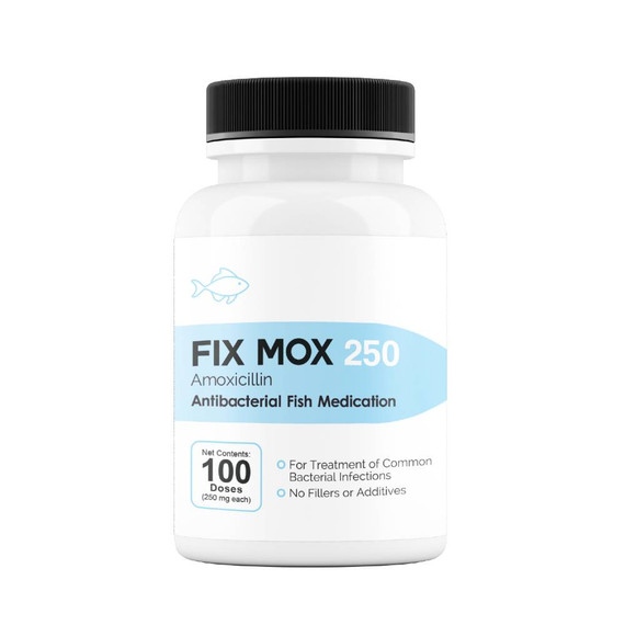 Amoxicillin 250mg