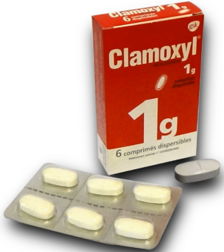 Amoxicilline mylan pharma prix