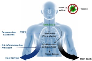 Azithromycin 250 mg coronavirus