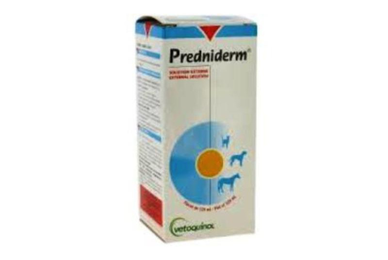 Commander Du Prednisolone En Ligne