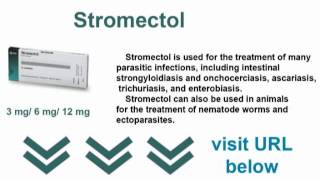 Stromectol 12mg