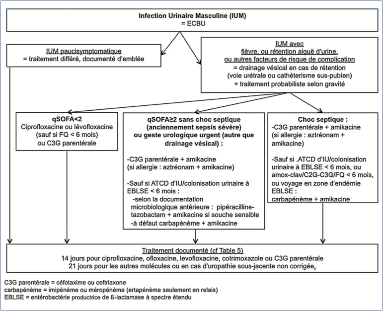 Zystitis Ciprofloxacin 500mg