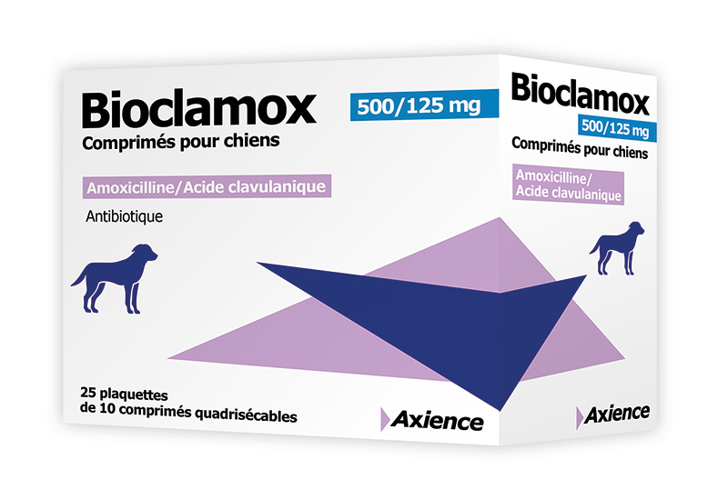 amoxil prix