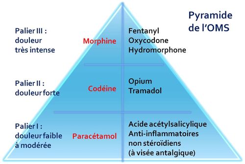 Générique de tramadol