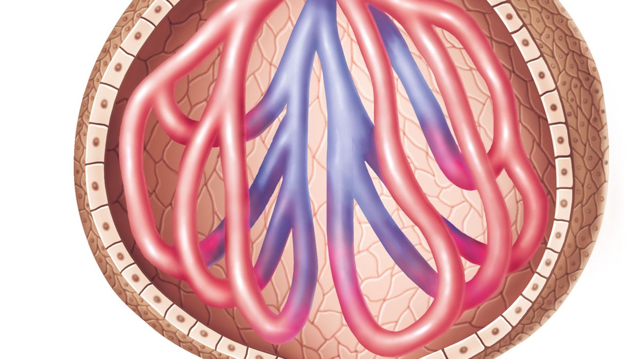 Furosémide en ligne