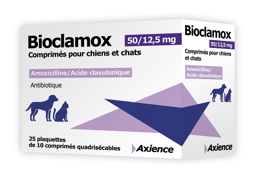 Amoxicilline comment acheter