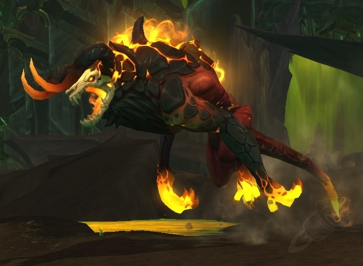 Commander aurogra