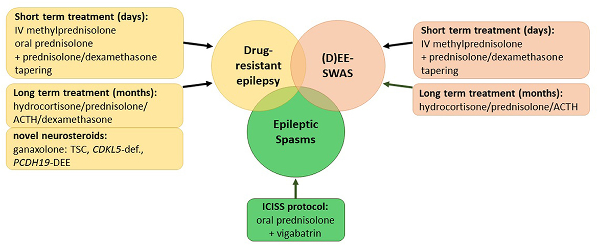 Prednisolone online