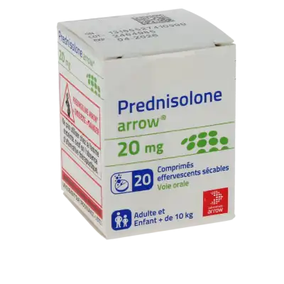 Prednisolone generique de solupred