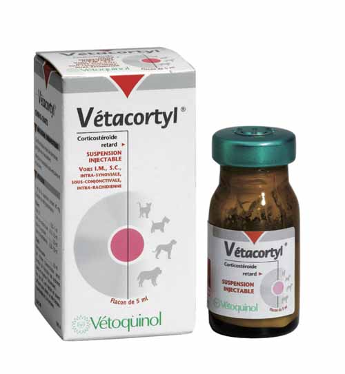 Prednisolone acetate online