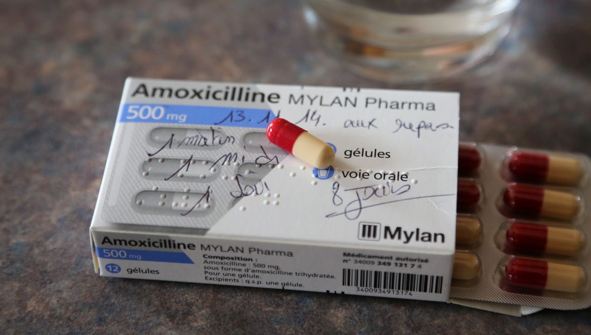 amoxicilline 500 mg prix