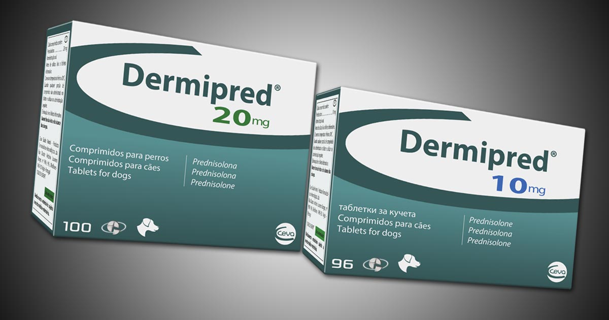 Acheter prednisolone 20 mg pour chien