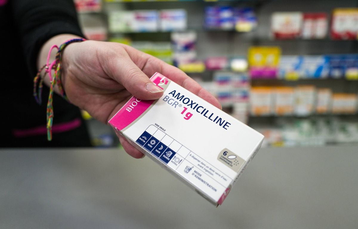 Commander Du Amoxicillin