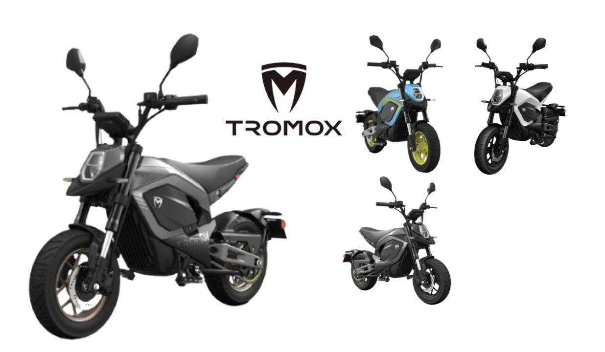 Trimox prix france
