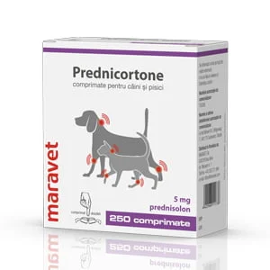 Prednisolone 20 mg chien prix
