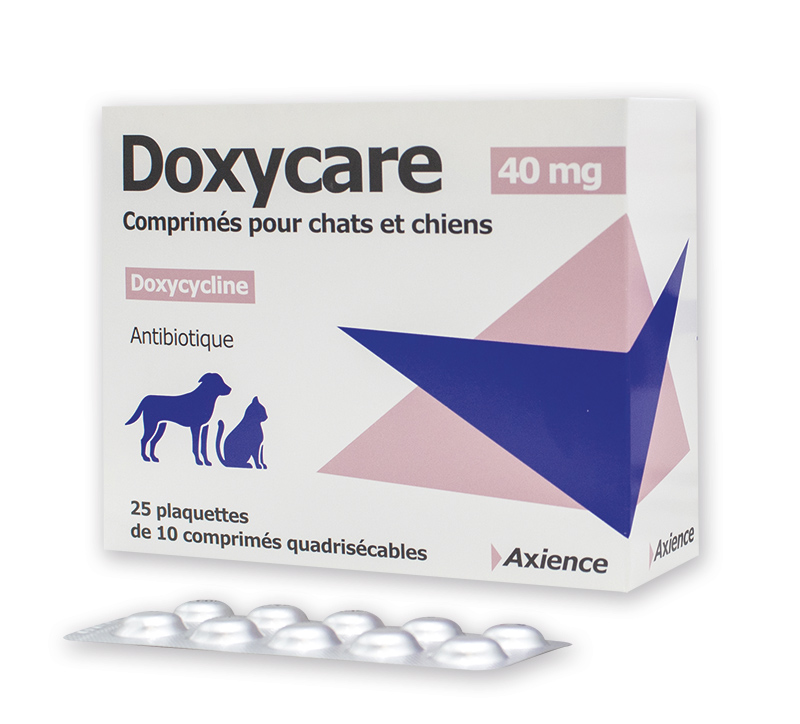 Doxycycline prix belgique