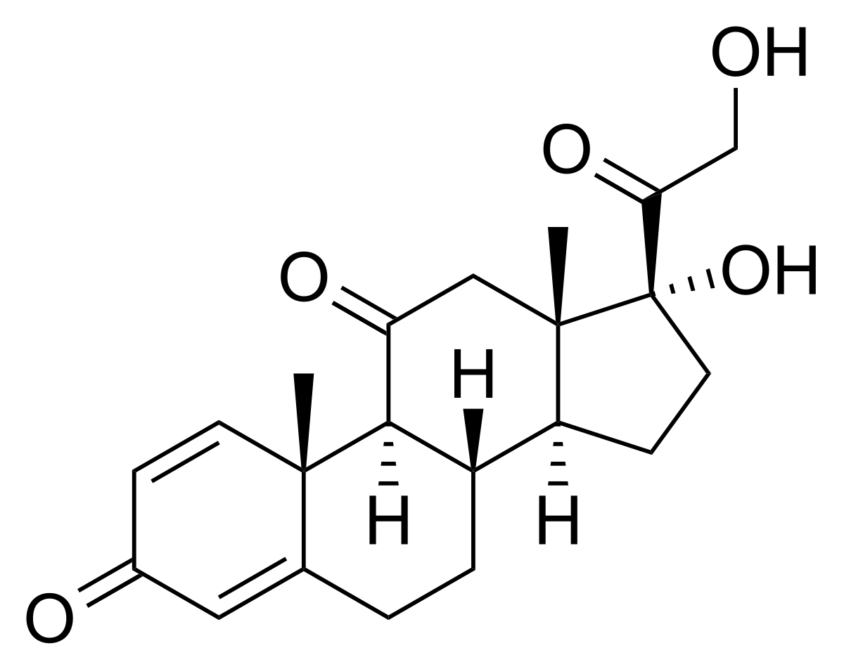 Prednisolone 40mg