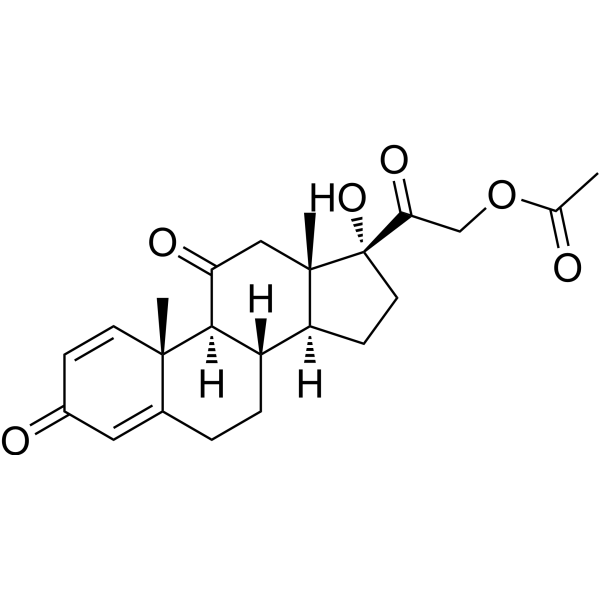 Commander Prednisolone