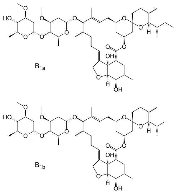 Prix ivermectin