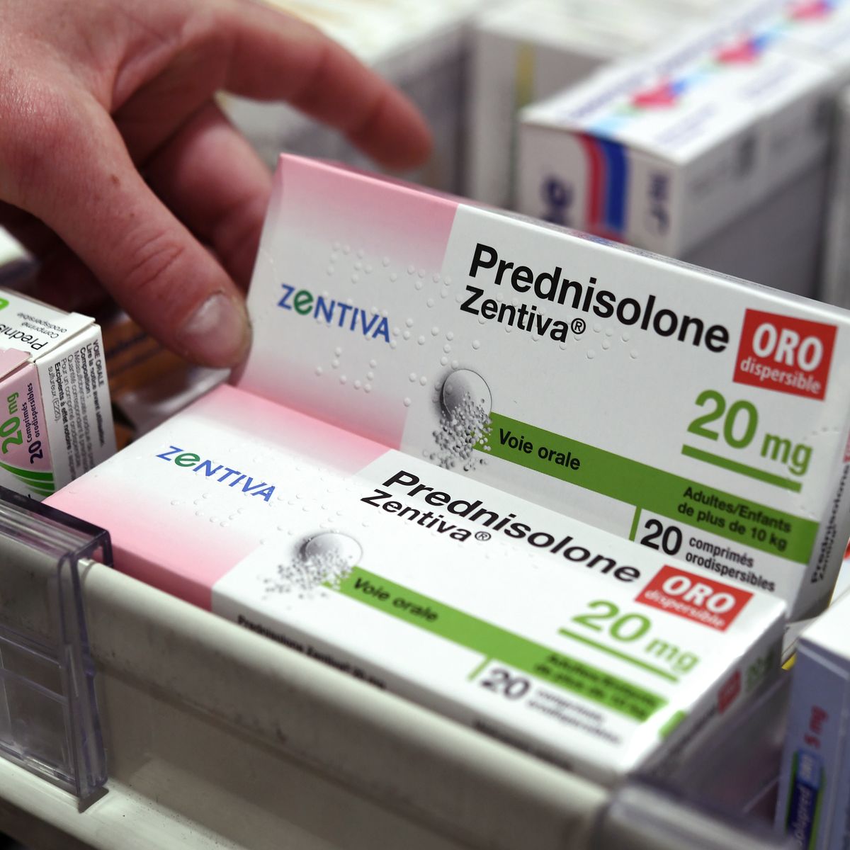 Prednisolone prix
